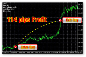 forex-pips-hunter-review